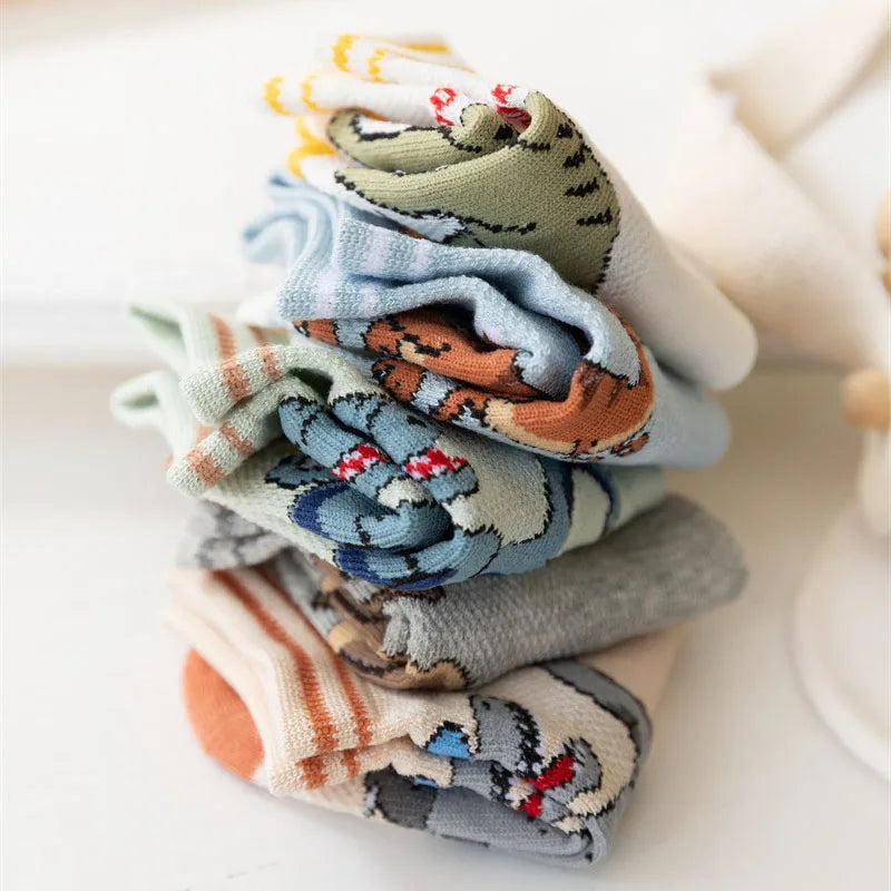 Dinosaur Socks for Boys (Pack of 5)