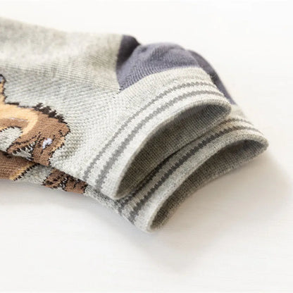 Dinosaur Socks for Boys (Pack of 5)