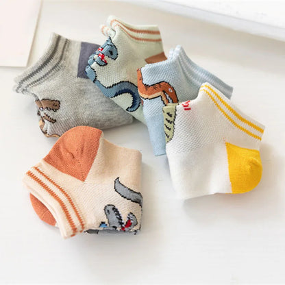 Dinosaur Socks for Boys (Pack of 5)