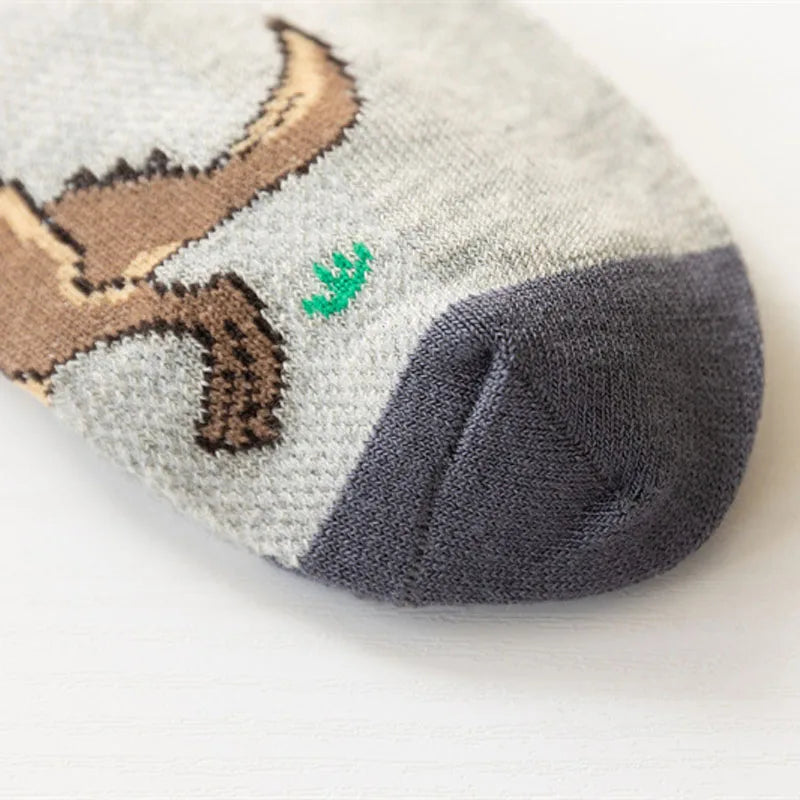 Dinosaur Socks for Boys (Pack of 5)